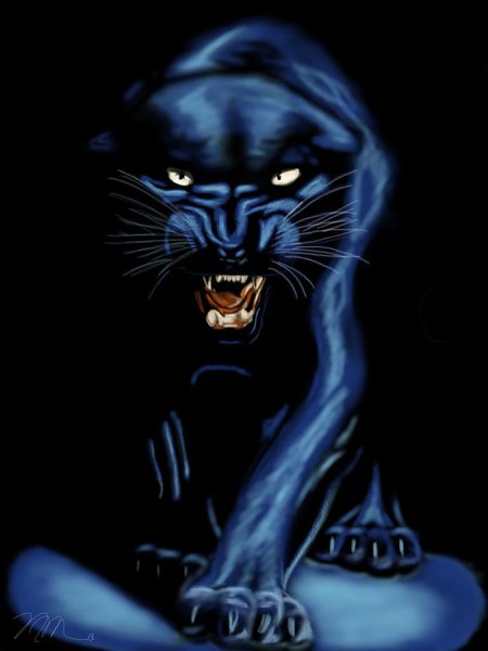 Флудс пантера