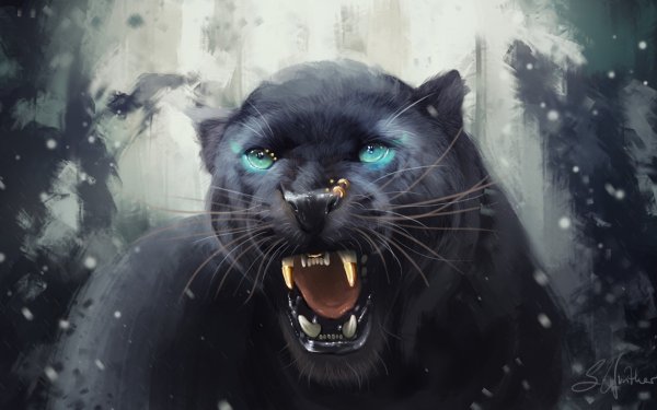 Пантера Пардус