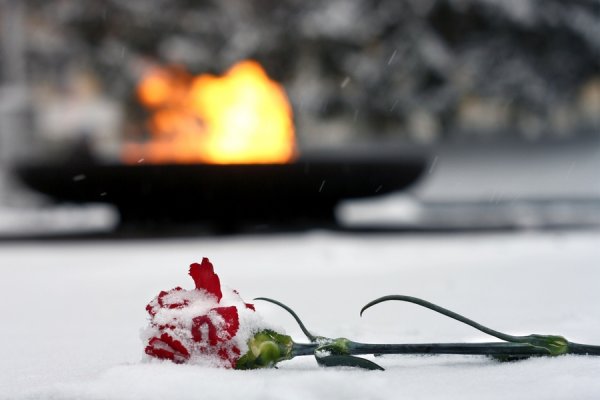 Вечный огонь Сыктывкар в цветах