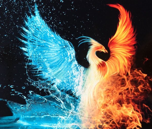 Огненный Феникс Дилюка