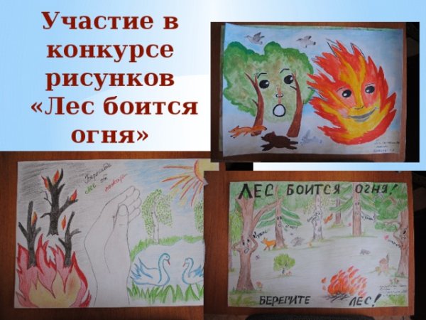 Лес боится огня рисунки конкурс