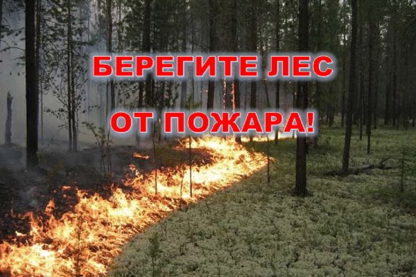 Берегите лес от пожара фото