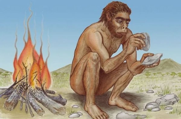 Архантропы (homo Erectus)