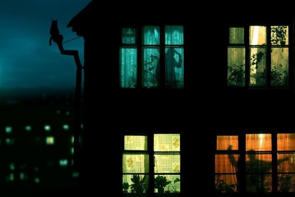 Вечерние окна домов