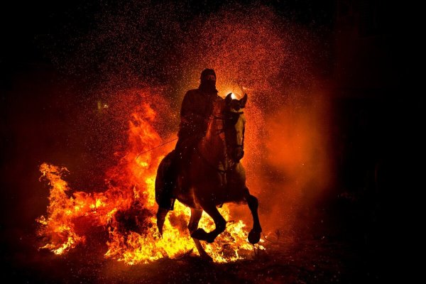 Рыцарь огня