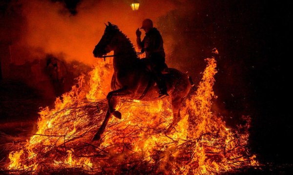 Всадник на коне