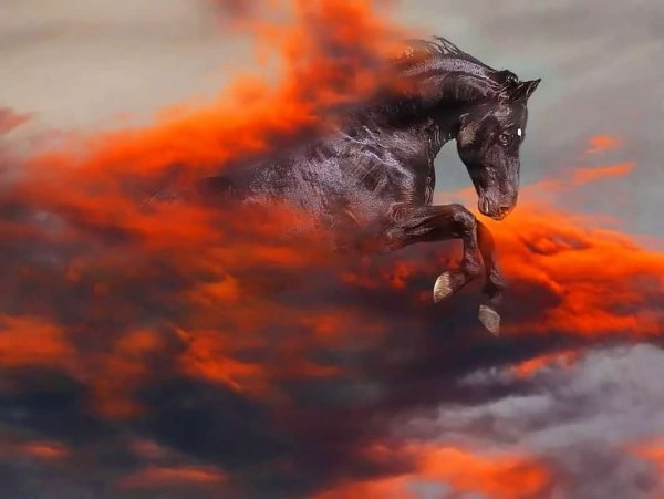 Огненные лошади в небе