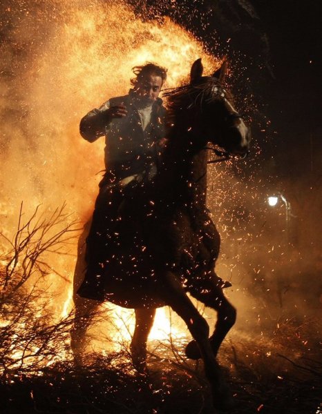 Всадник с лошадью