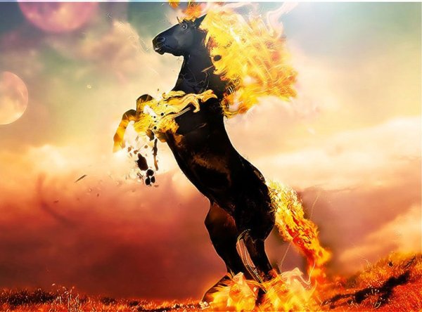 Огненный конь на дыбах