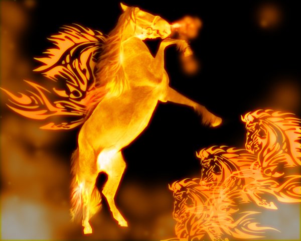 Огненный конь на дыбах