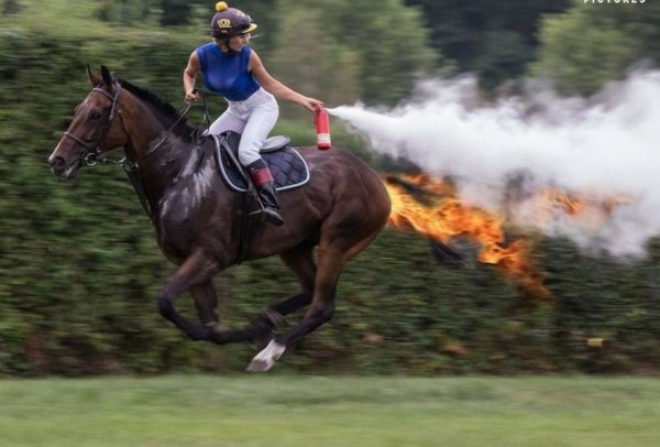 Лошадь на скаку