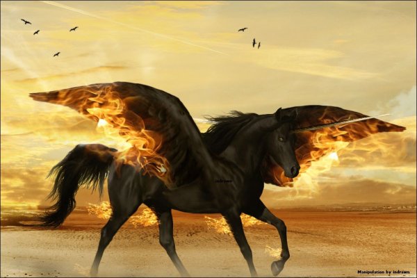 Амистр лошадь