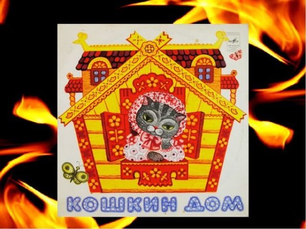 Кошкин дом в огне