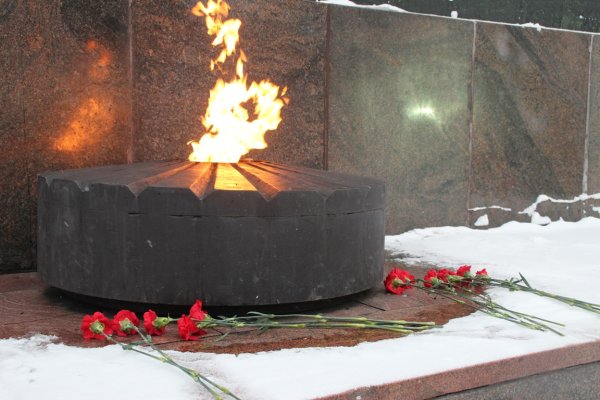 Лагерный сад вечный огонь Томск