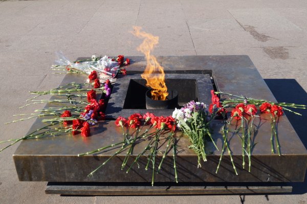 Вечный огонь на Марсовом поле в Санкт-Петербурге
