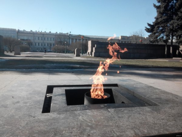 Вечный огонь Марсово поле в Санкт-Петербурге