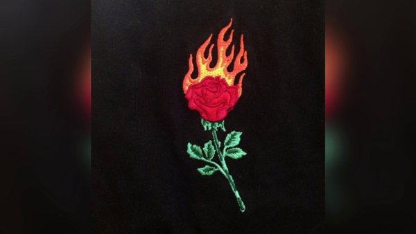 Гаревшая роща на чёрном фоне