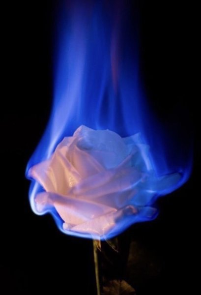 Синий огонь Эстетика