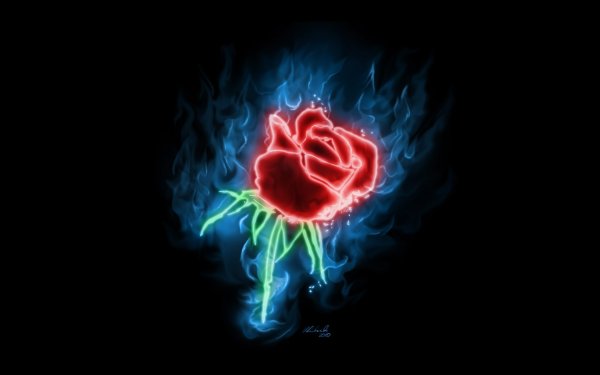 Роза в огне обои