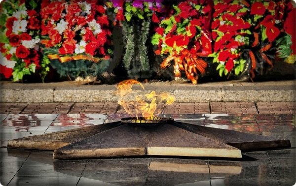 Вечный огонь в цвете