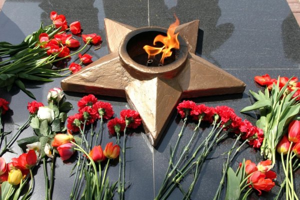 Память воинам Великой Отечественной войны