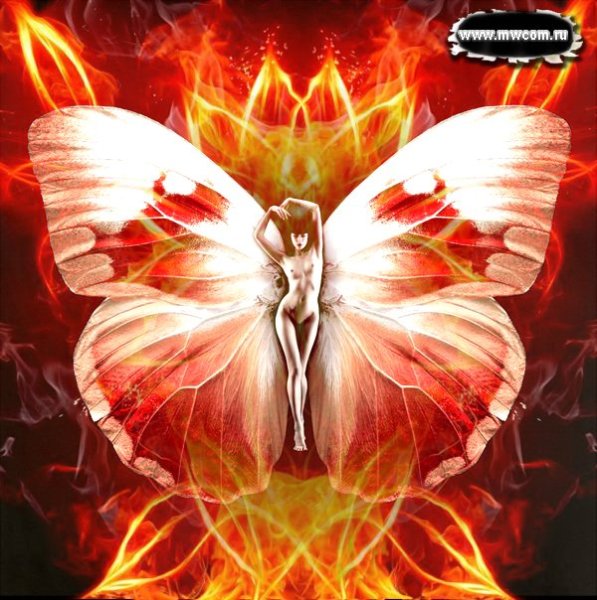 Огненная бабочка