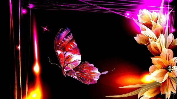 Магическая бабочка на черном фоне