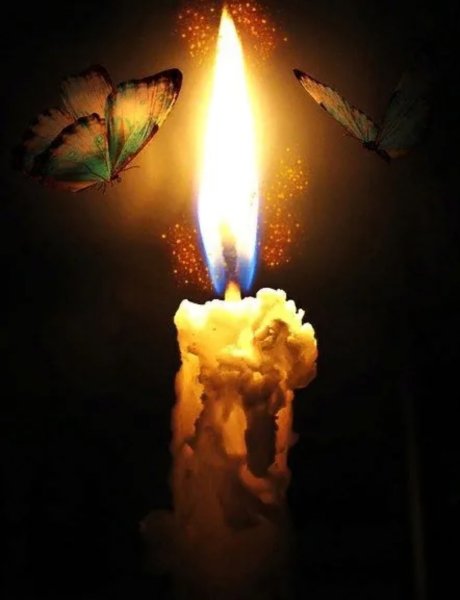 Мотылек и огонь