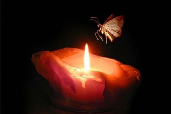 Бабочка и свеча