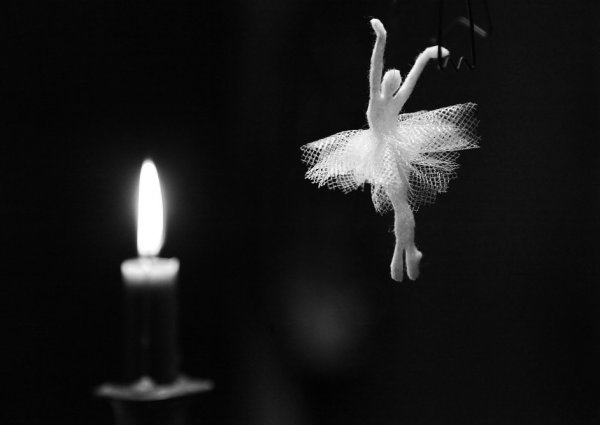 Бабочка в огне