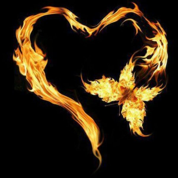 Сердце в огне