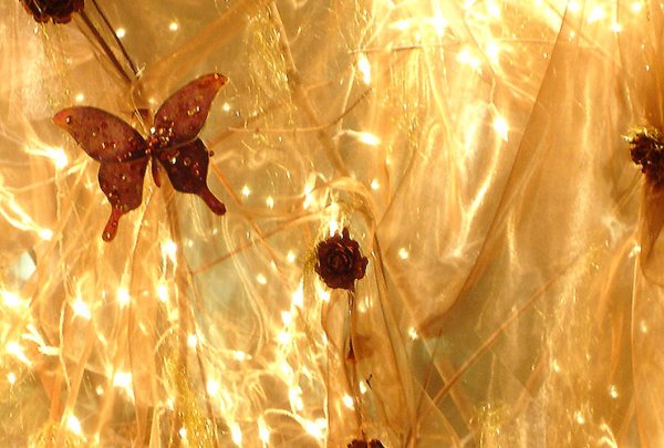 Бабочка на свет