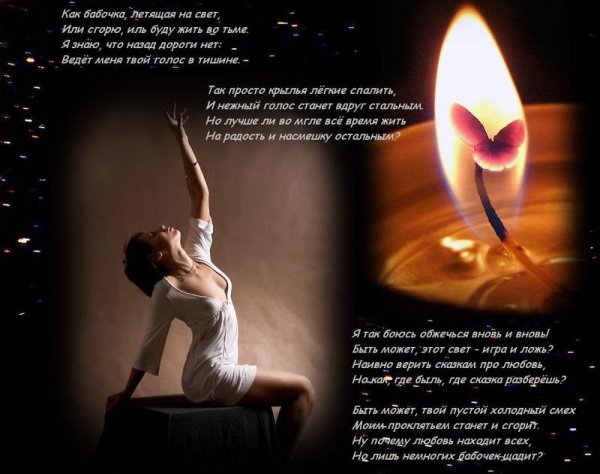 Ночная бабочка стих