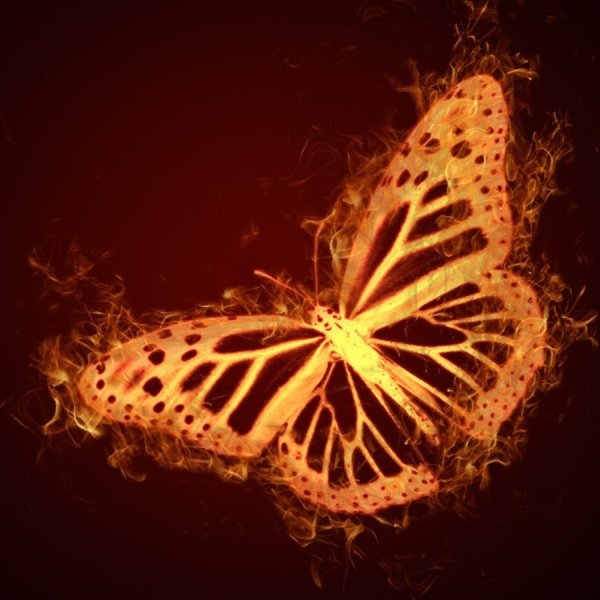 Огненная бабочка