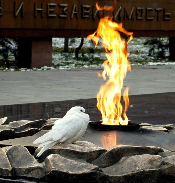 Вечный огонь и голуби