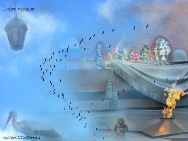 Белые Журавли война