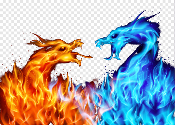 Огненный и водяной дракон