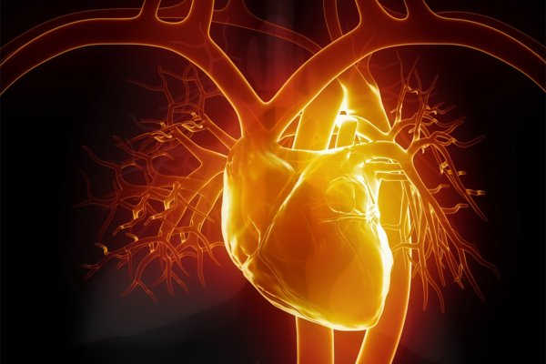 Огонь в сердце человека