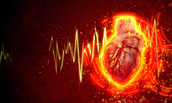 Анатомическое сердце в огне