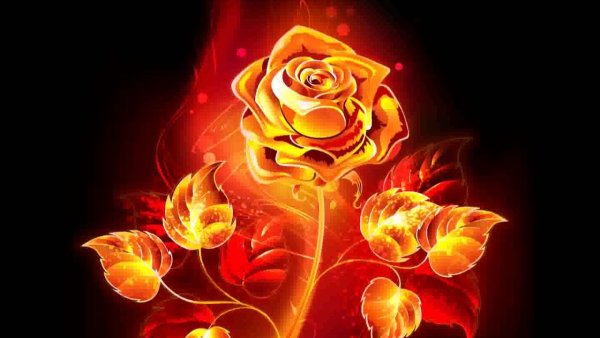 Роза в огне картинки