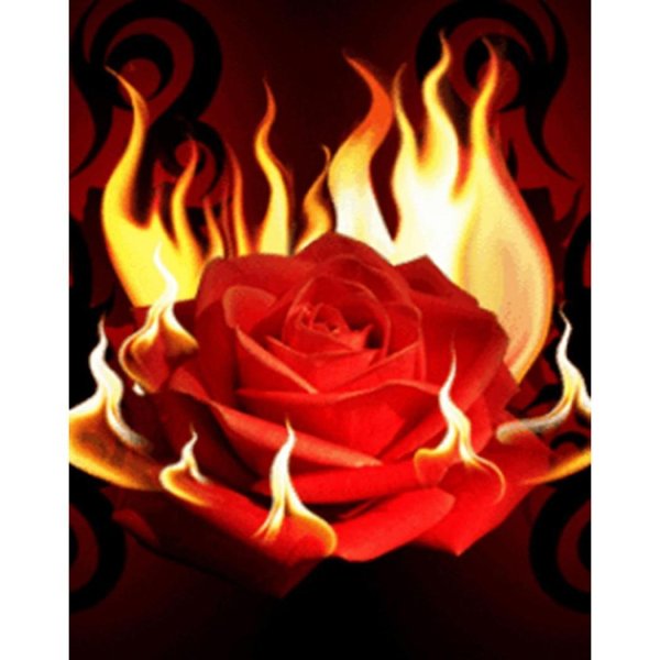 Роза в огне