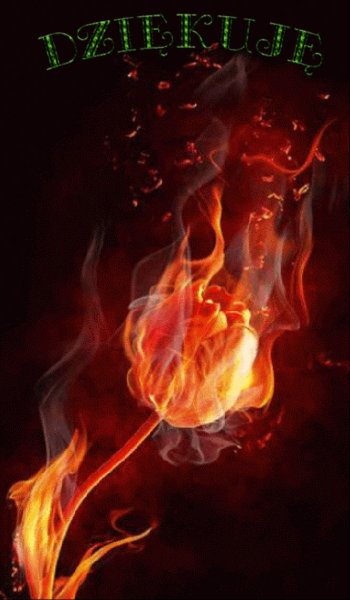 Огненная роза