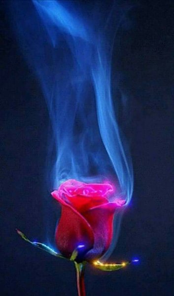 Горящий цветок