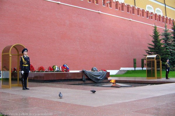 Почетный караул у памятника неизвестному солдату в Москве