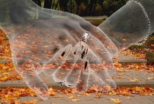 Необычное рядом с нами