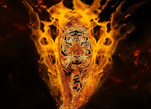 Пламенный тигр