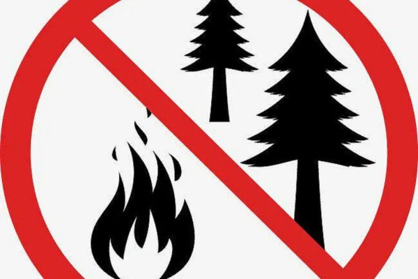 Чистый лес территория без огня