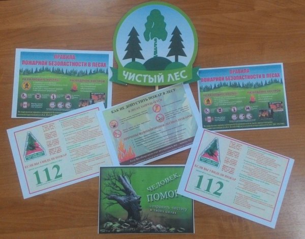 Чистый лес территория без огня листовка