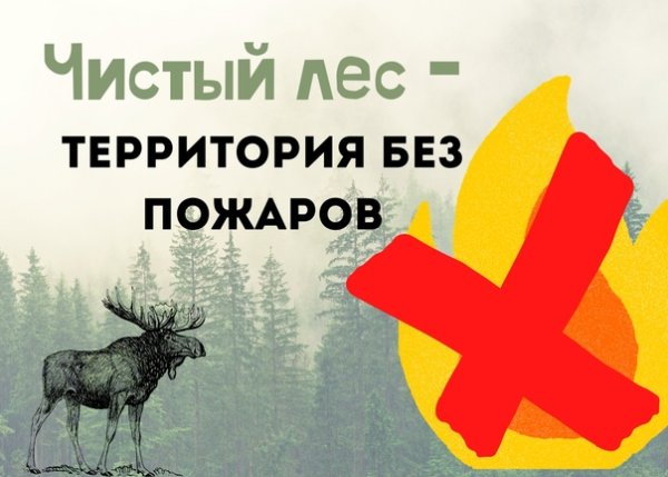 Акция чистый лес территория без огня