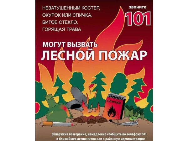 Акция чистый лес листовки